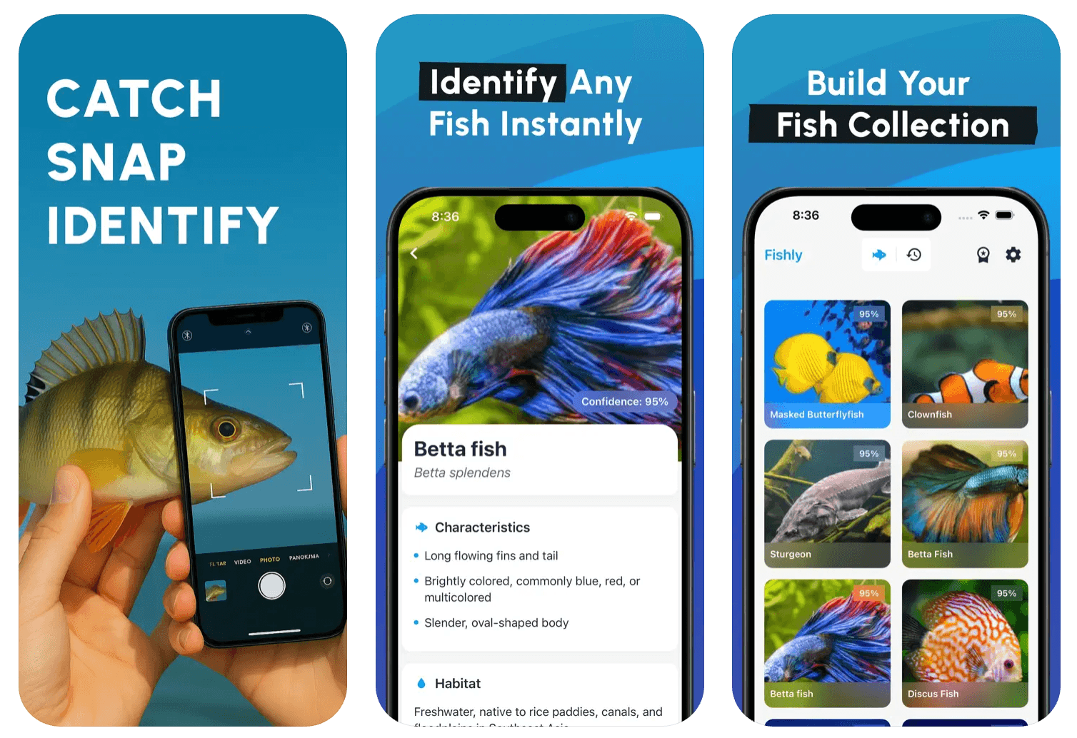 Fishly preview